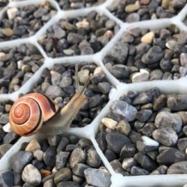 Sistema grava permeable GRAVEL.